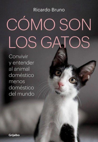 Cómo Son Los Gatos