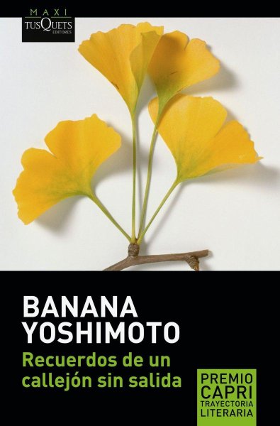 Recuerdos De Un Callejón Sin Salida